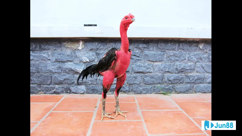 Lợi ích phơi nắng Lợi ích phơi nắng