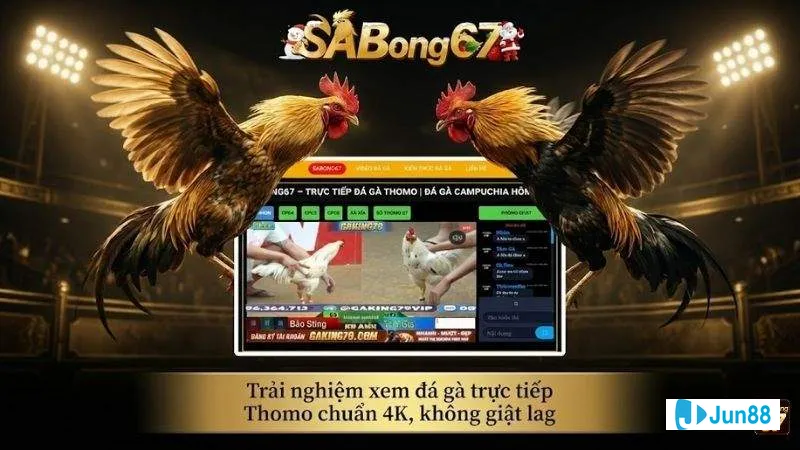 Dịch vụ chất lượng và trải nghiệm người Dịch vụ chất lượng và trải nghiệm người