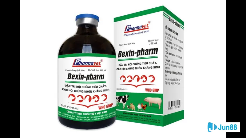 Gà bị tiêu chảy cần uống nước điện Gà bị tiêu chảy cần uống nước điện